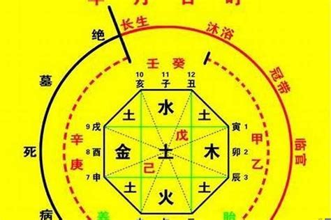 福德 八字|福德在八字命局中的含义（算命中的福德是什么意思）